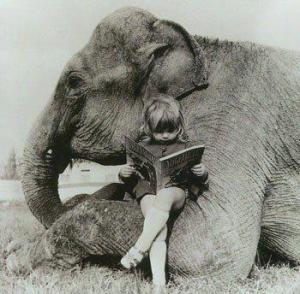 elephant read