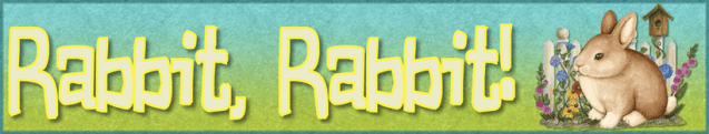 Rabbit2