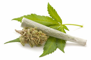 marijuana-leaf-joint-140423