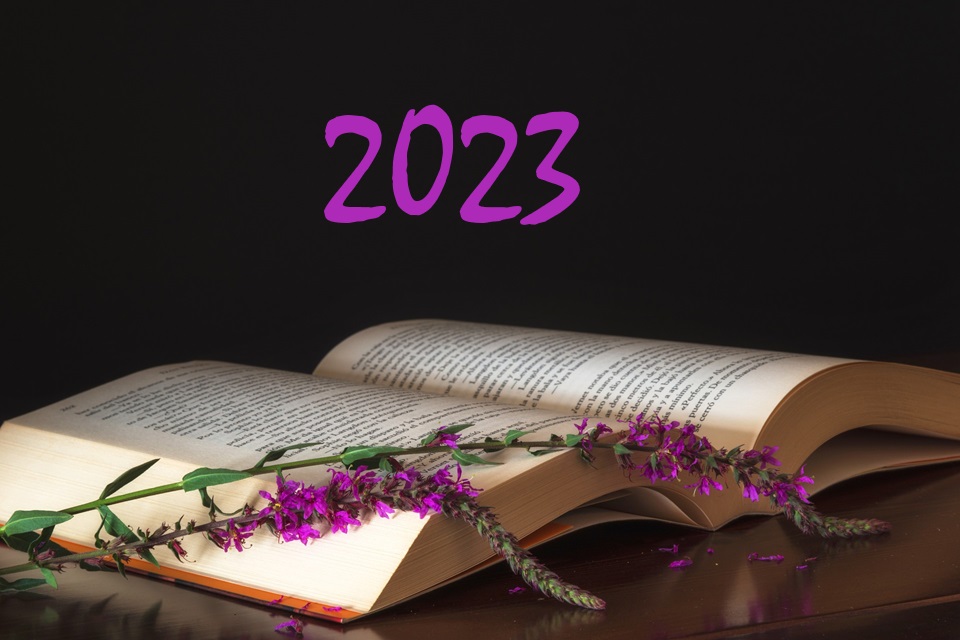 A look back: Series reading in 2023 | Bookshelf Fantasies