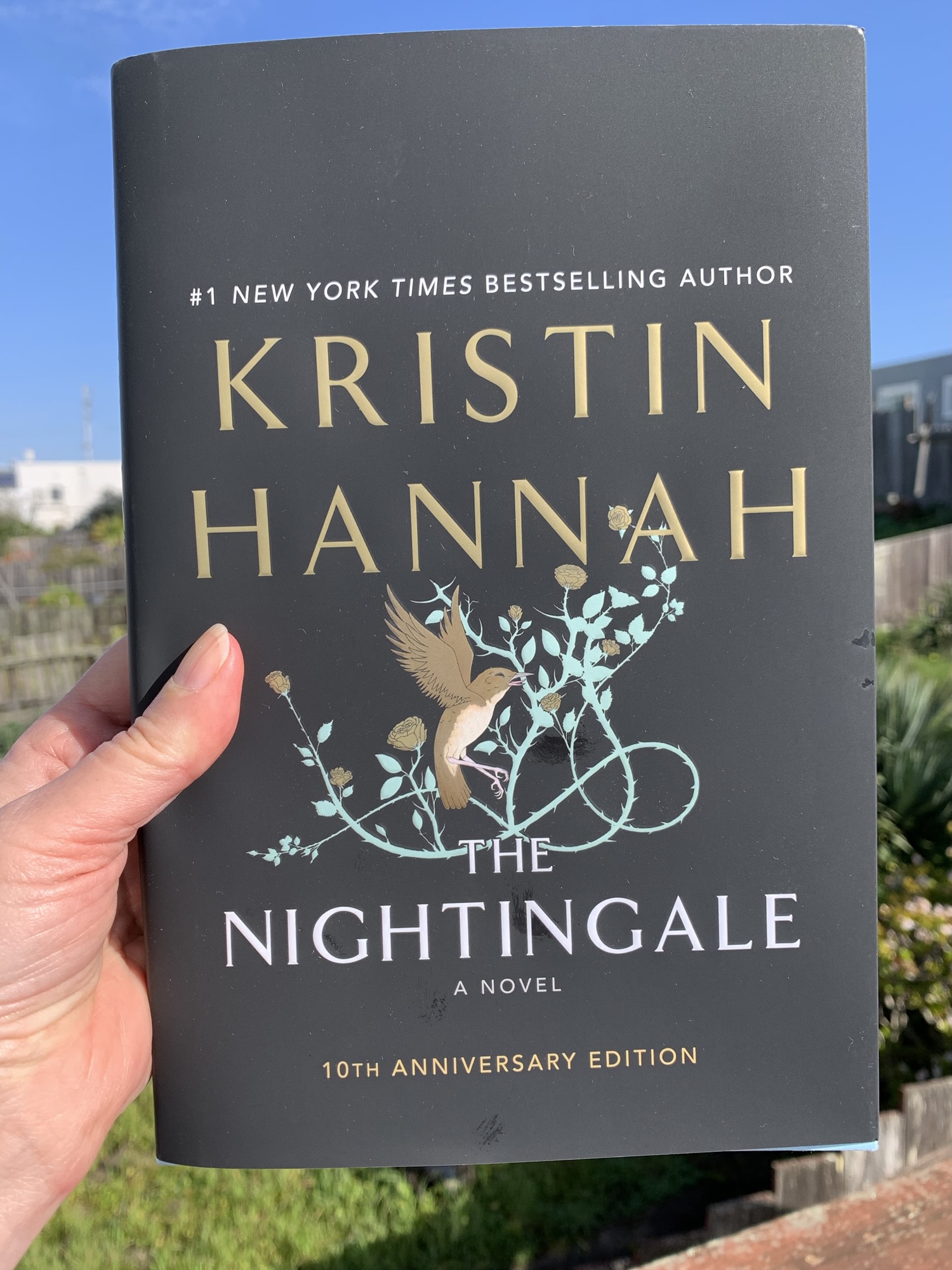 Book Review The Nightingale by Kristin Hannah Bookshelf Fantasies